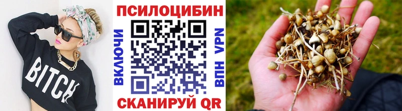 Псилоцибиновые грибы Magic Shrooms  Урень 
