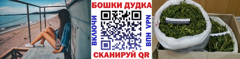 Конопля гибрид  Урень 